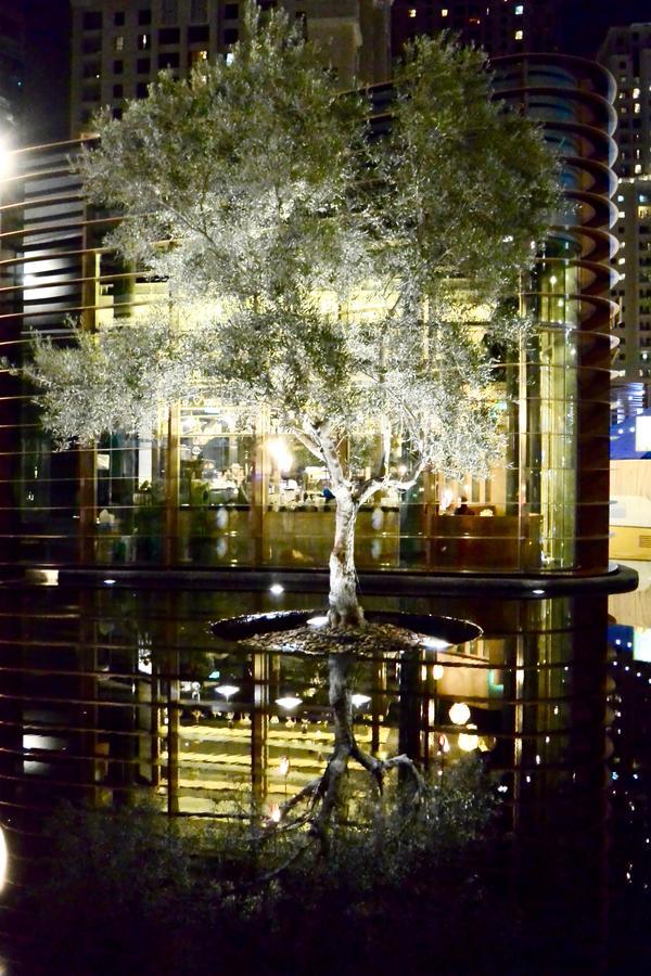 The Beach Residence Dubai Exterior photo